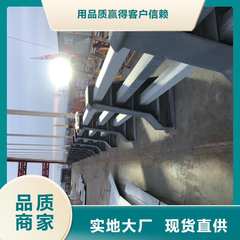 【桥梁护栏市政道路防护栏产品细节参数】当地服务商