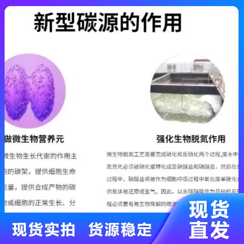 培养菌种碳源性价比高现货充足量大优惠