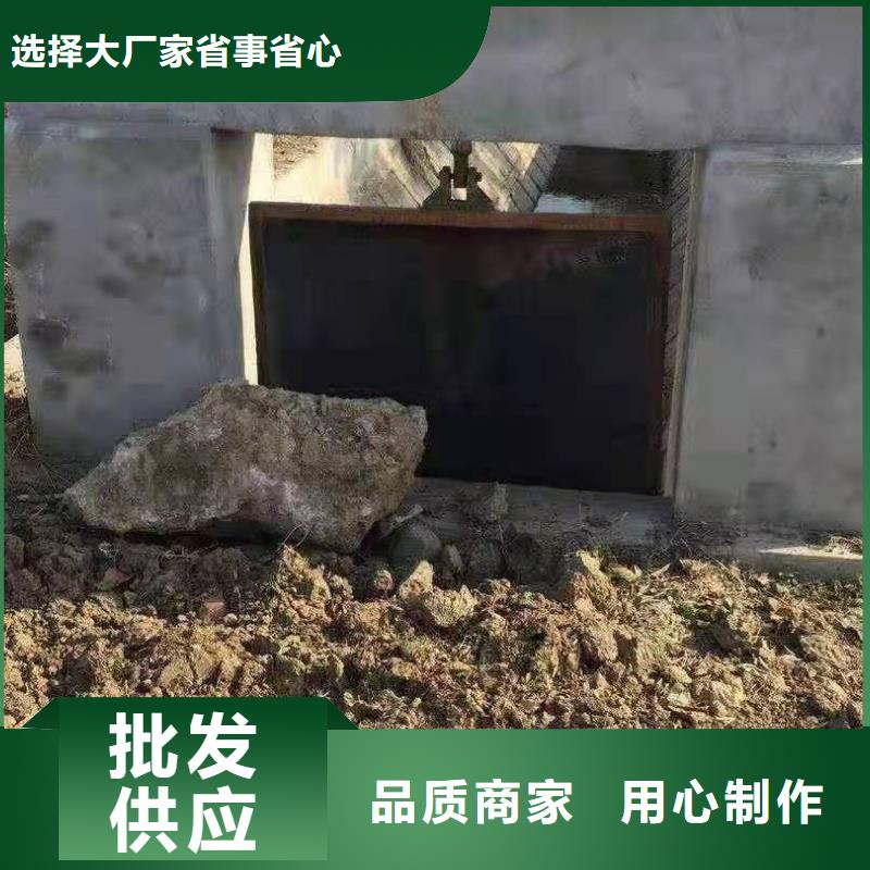 【铸铁闸门启闭机闸门厂家每个细节都严格把关】厂家直销规格多样