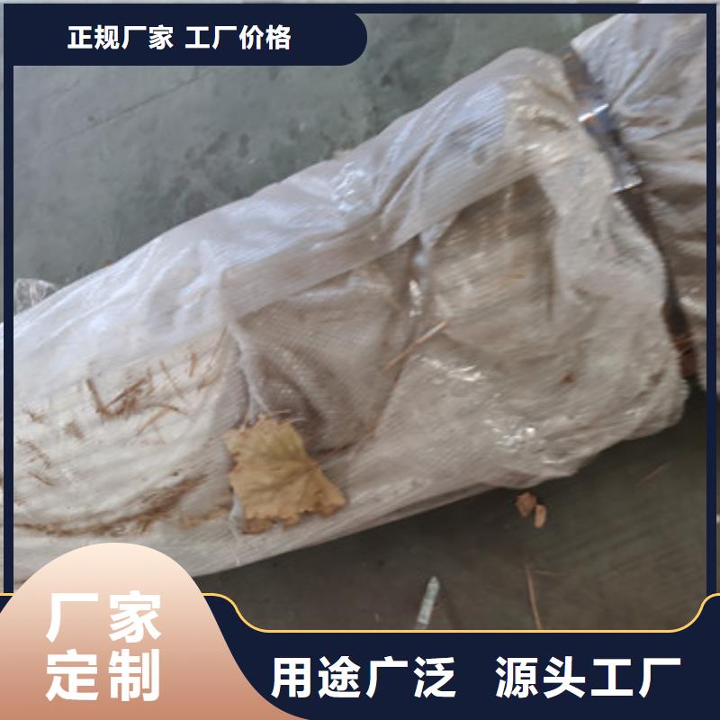 景观不锈钢防撞隔离灯光护栏现货供应当地服务商