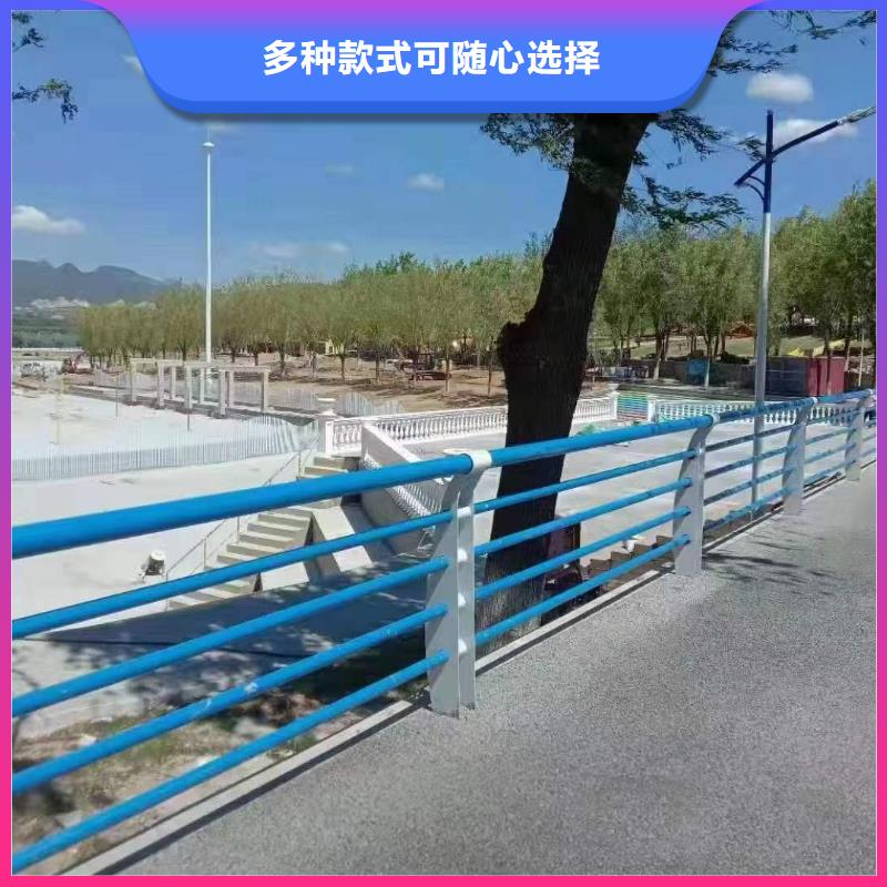 护栏政护栏市场行情放心购