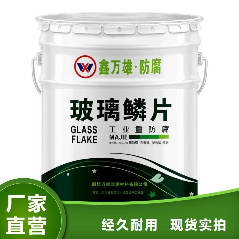 玻璃鳞片涂料乙烯基玻璃鳞片胶泥品质保证送货上门