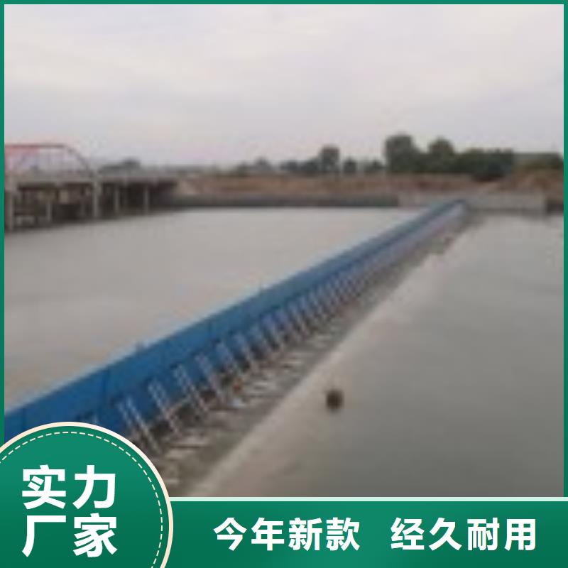 翻板闸门_铸铁闸门用心做好细节支持拿样