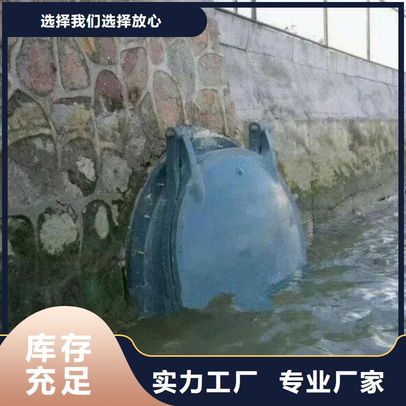 【拍门】钢制拍门支持定制加工对质量负责