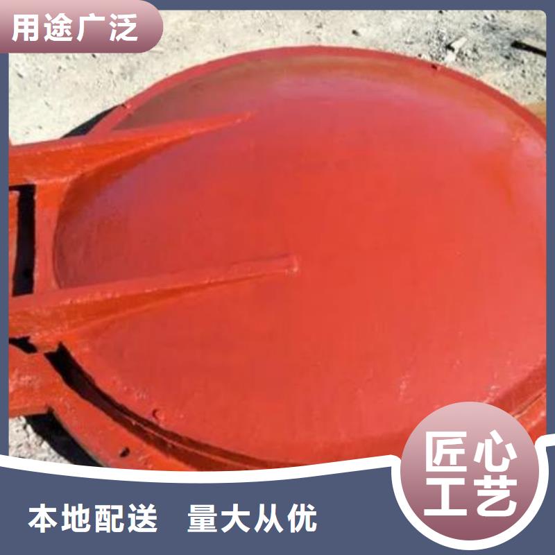 【拍门泵站铸铁闸门现货充裕】当地生产商