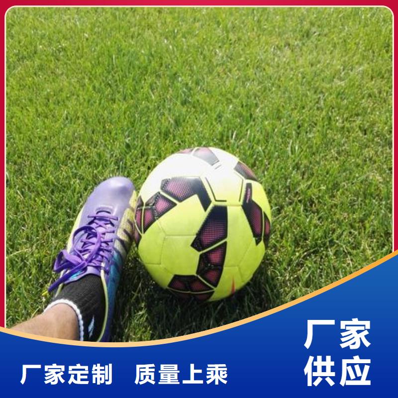 塑胶跑道-学校体育场源头把关放心选购源头厂家直销