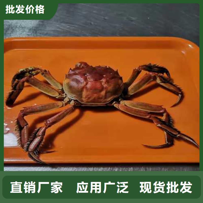 阳澄湖大闸蟹哪家好实力优品