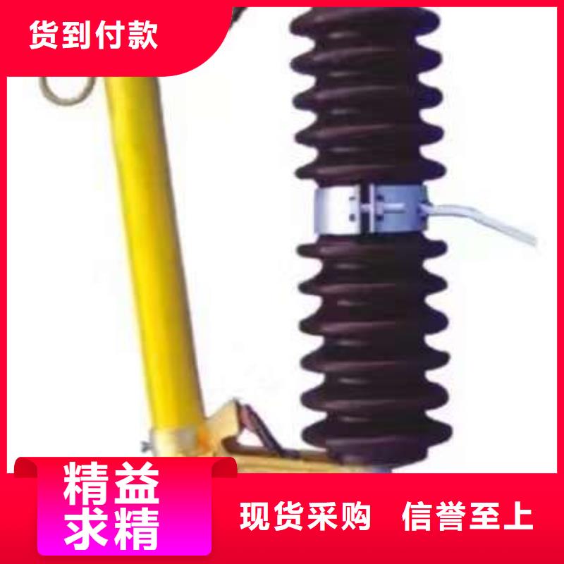 熔断器_金属氧化物避雷器产地直供同城公司