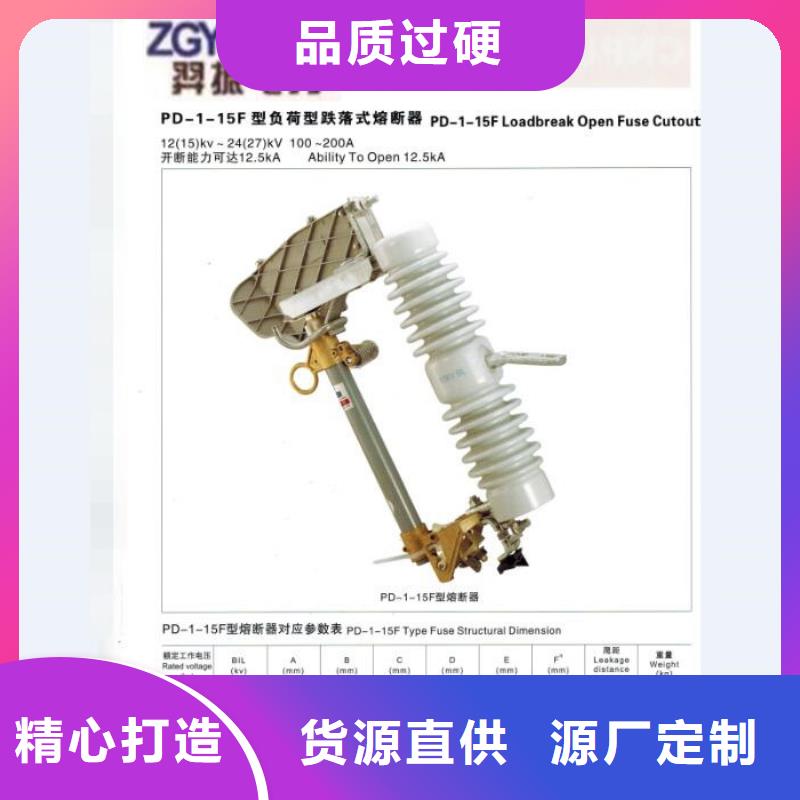 熔断器跌落式熔断器卓越品质正品保障当地厂家