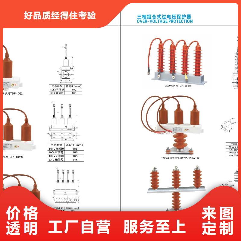 高压隔离开关真空断路器实地大厂敢与同行比价格