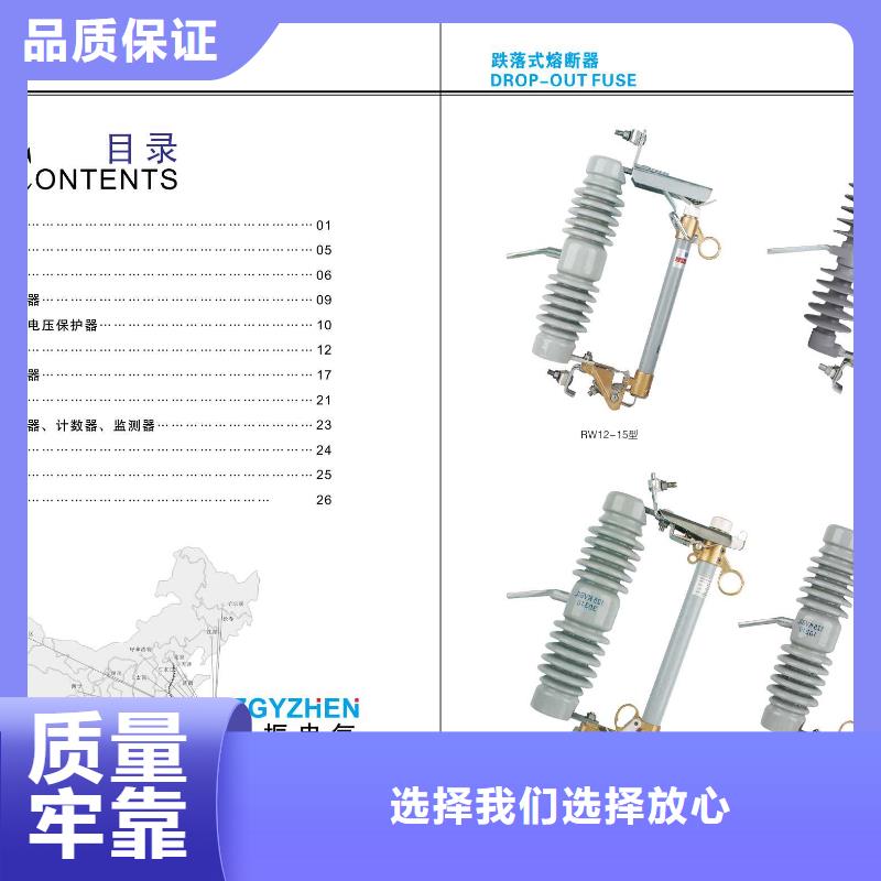 ​高压隔离开关金属氧化物避雷器专业设计本地生产商