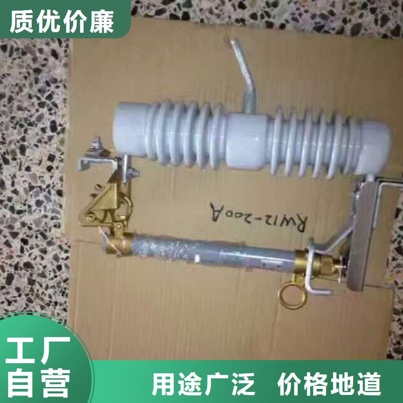 熔断器-绝缘子厂家厂家直营本地品牌