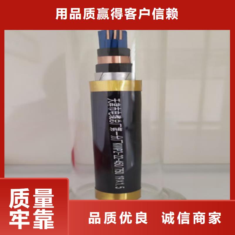 矿用控制电缆信号电缆工厂直销当地品牌