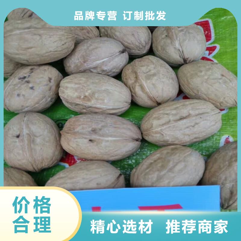 核桃苗蓝宝石葡萄树苗通过检测敢与同行比服务