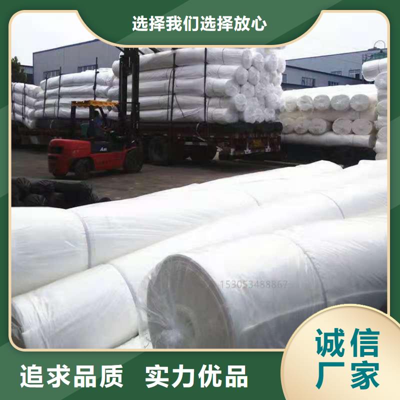 土工布_【防水毯】实拍展现行业优选
