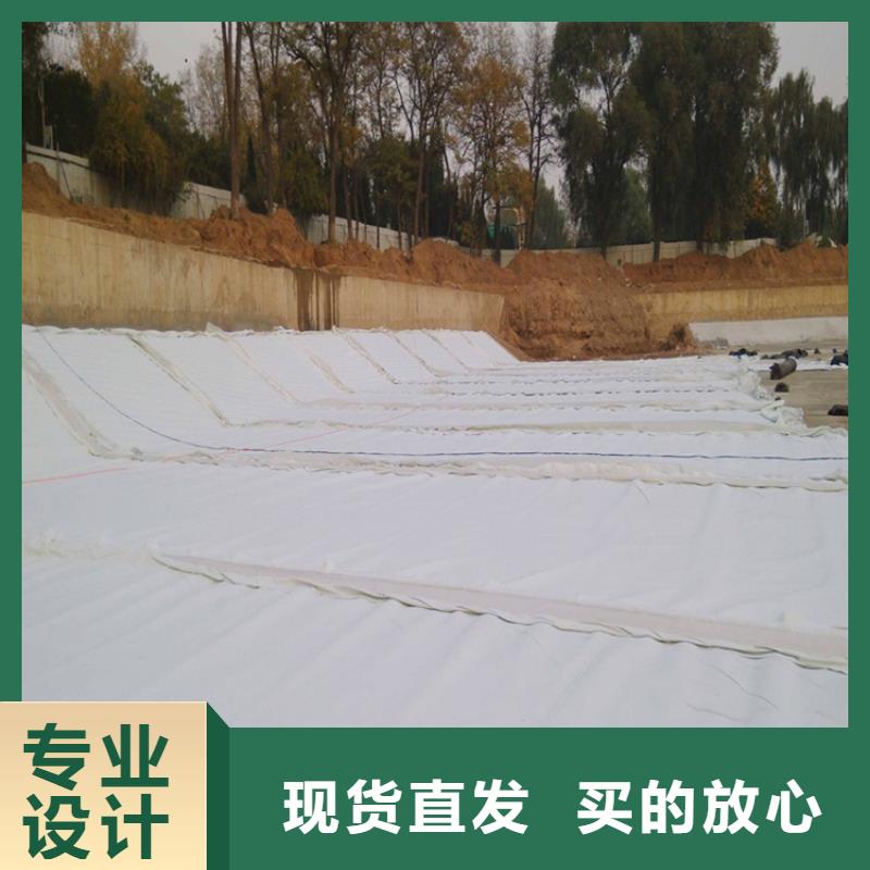 土工布防渗膜丰富的行业经验从厂家买售后有保障