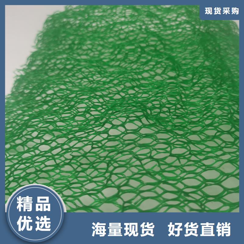 三维植被网土工布质检合格发货实力工厂