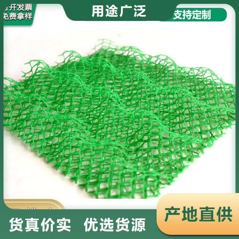 三维植被网_【土工席】精心打造质量优价格低