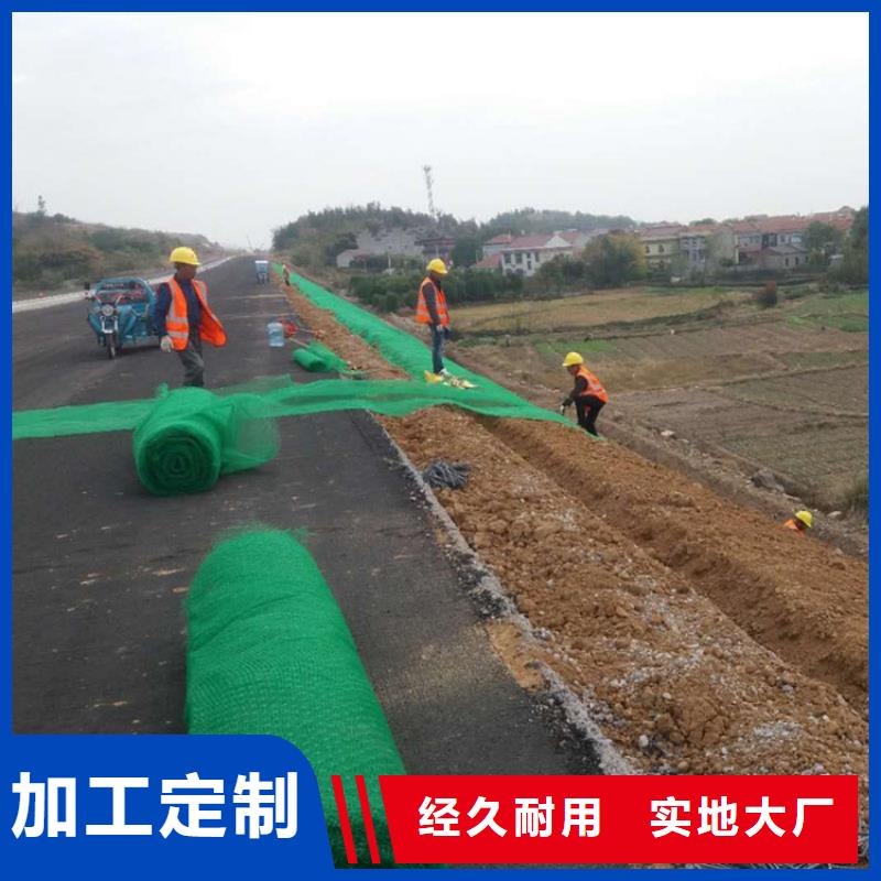 三维植被网HDPE土工膜多家仓库发货同城服务商