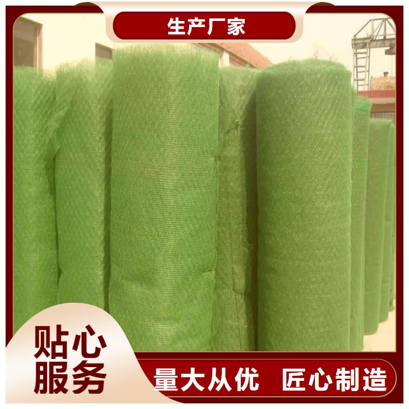 三维植被网土工格栅联系厂家同城制造商