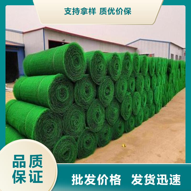 三维植被网-土工格栅价格有优势货源足质量好