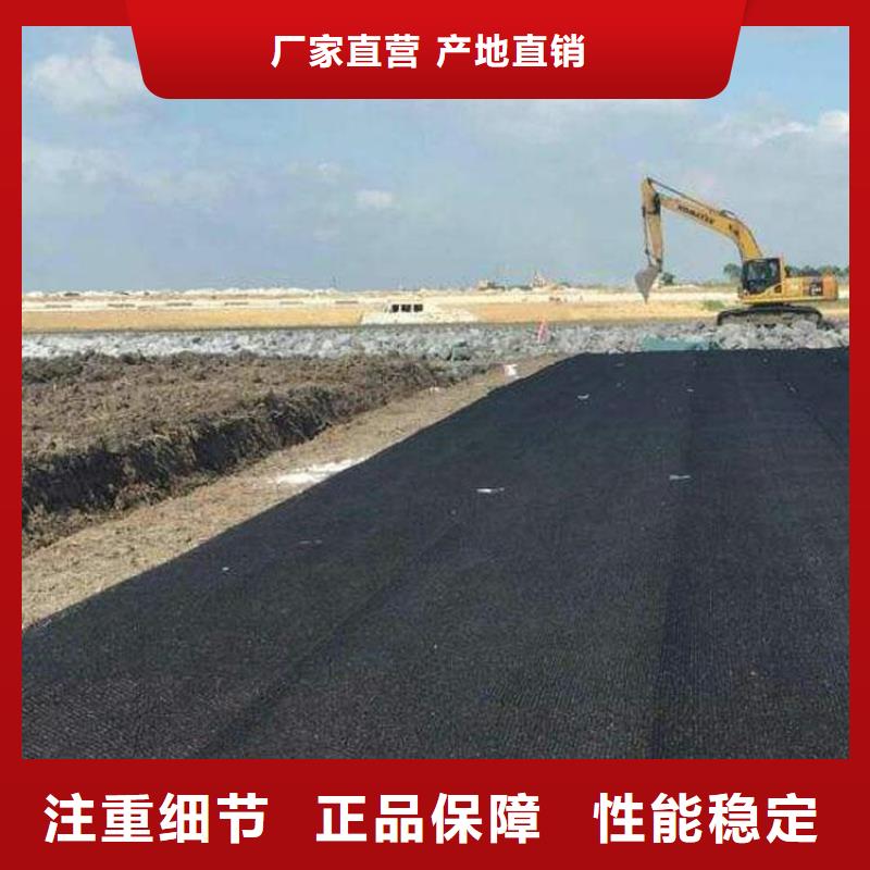 水土保护毯土工格栅价格透明同城厂家