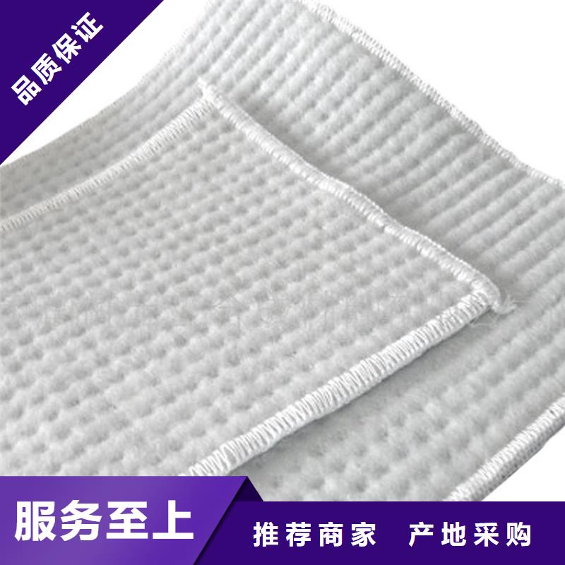 膨润土防水毯现货直供一致好评产品