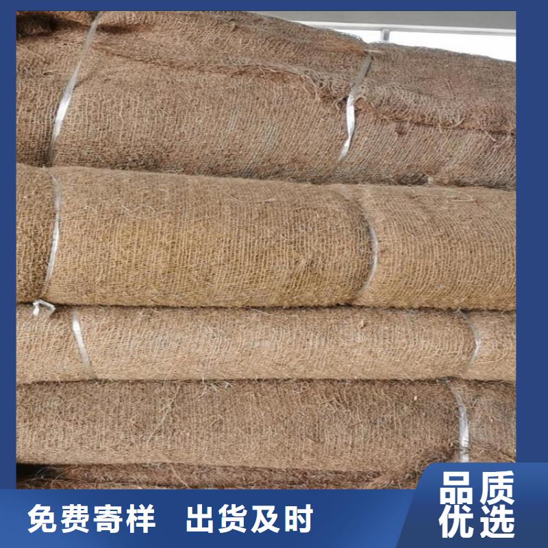 椰丝毯保湿布现货批发今日价格