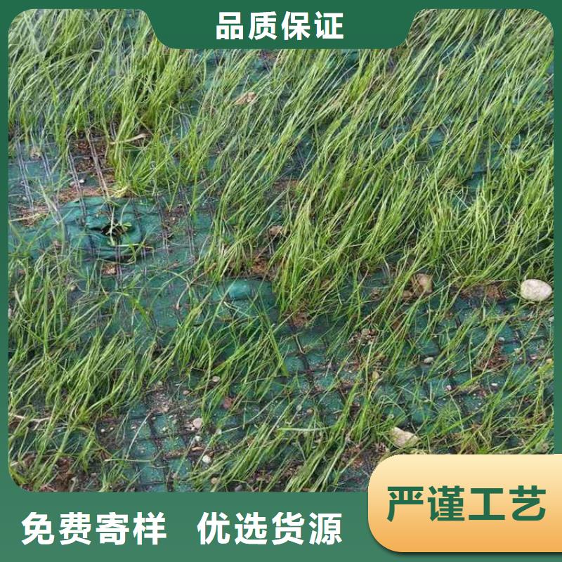 椰丝毯【膨润土防水毯】品牌企业本地货源