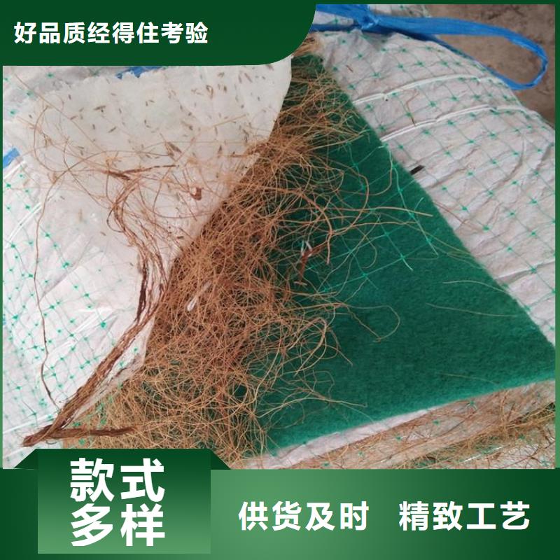/FL1904073.html