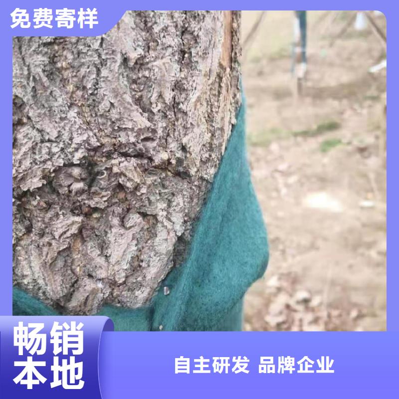 【裹树布】HDPE土工膜厂家直营同城生产厂家