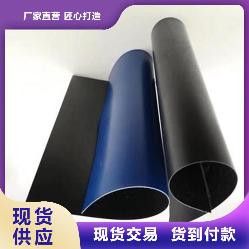 土工膜双向土工格栅厂家新品一对一为您服务
