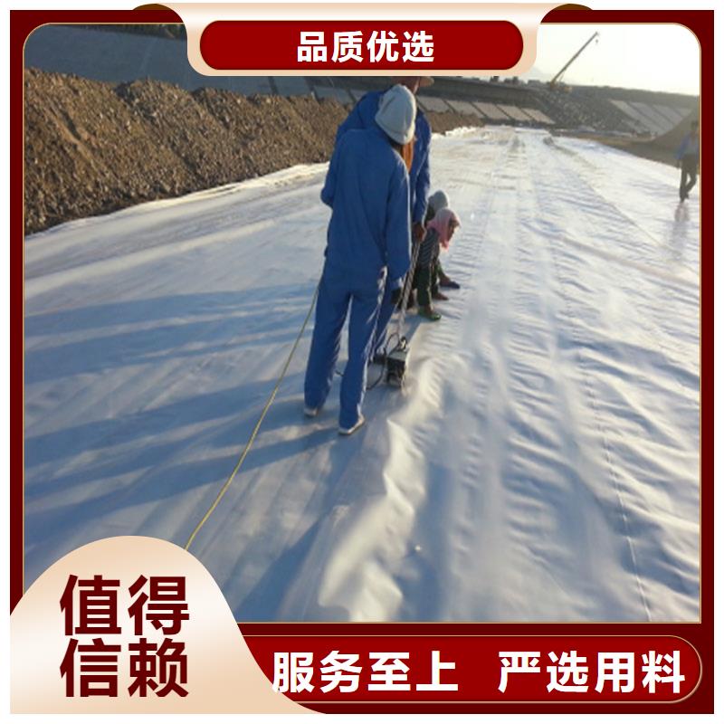 土工膜HDPE土工膜匠心打造当地制造商