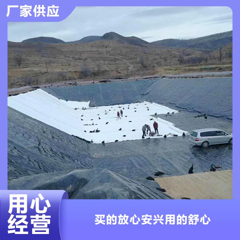【土工膜,土工布每个细节都严格把关】品牌企业