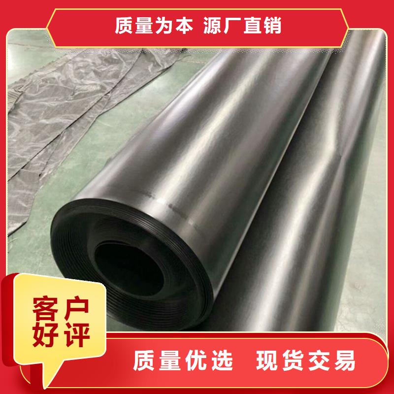 土工膜钢塑土工格栅发货及时质量为本
