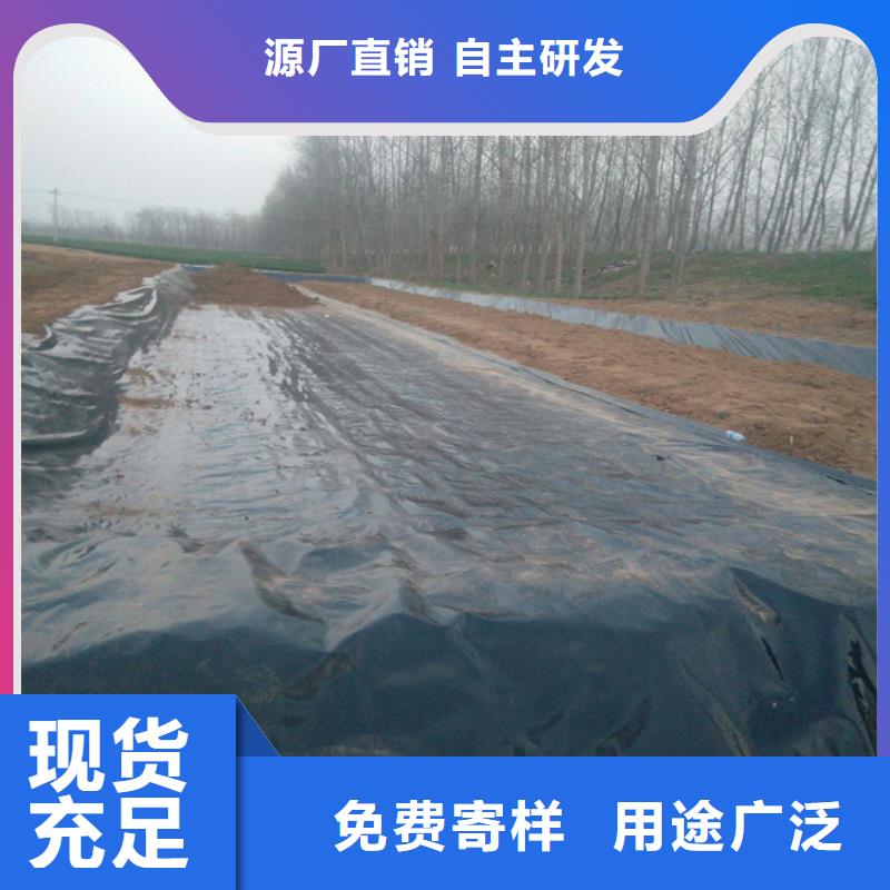 土工膜-双向土工格栅批发价格库存丰富