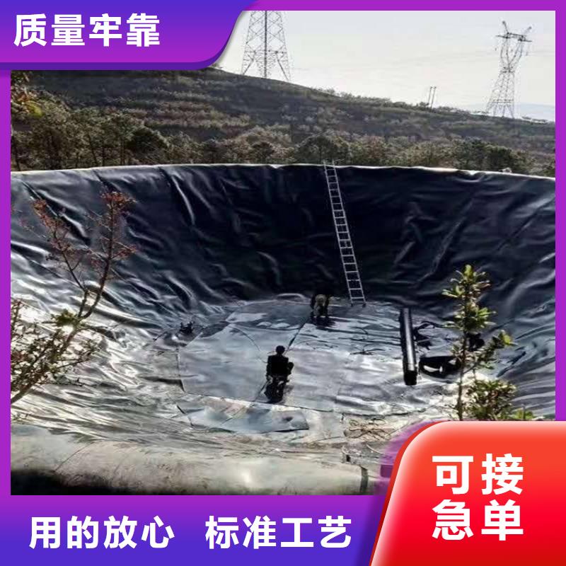 土工膜-【土工格栅】诚信经营本地公司