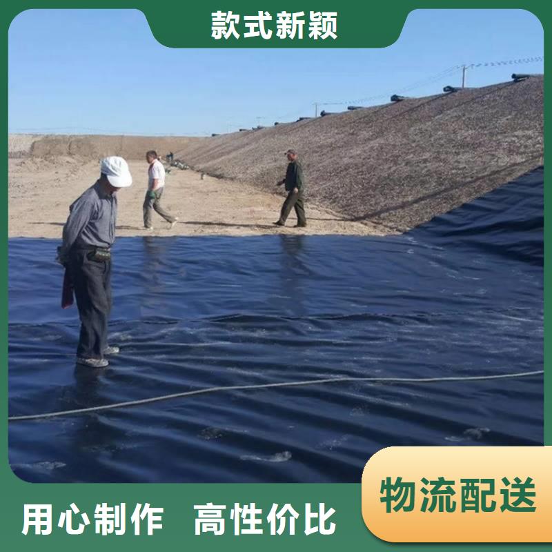 【土工膜土工格栅型号全价格低】厂家经验丰富