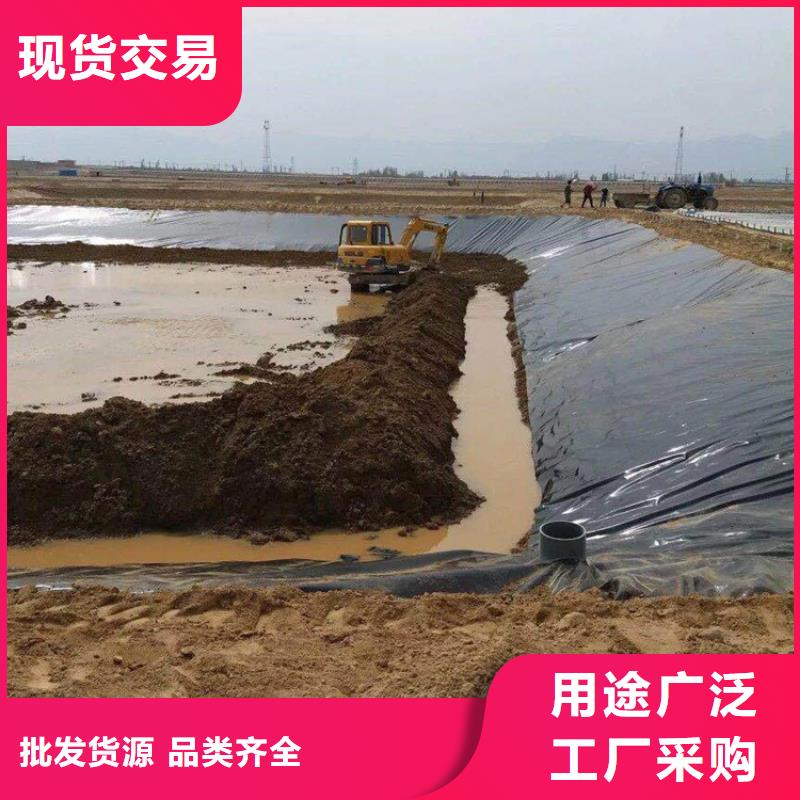 土工膜80KN玻纤格栅细节之处更加用心批发价格
