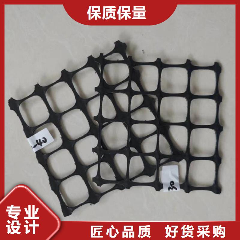 土工格栅-防渗膜畅销当地专业厂家