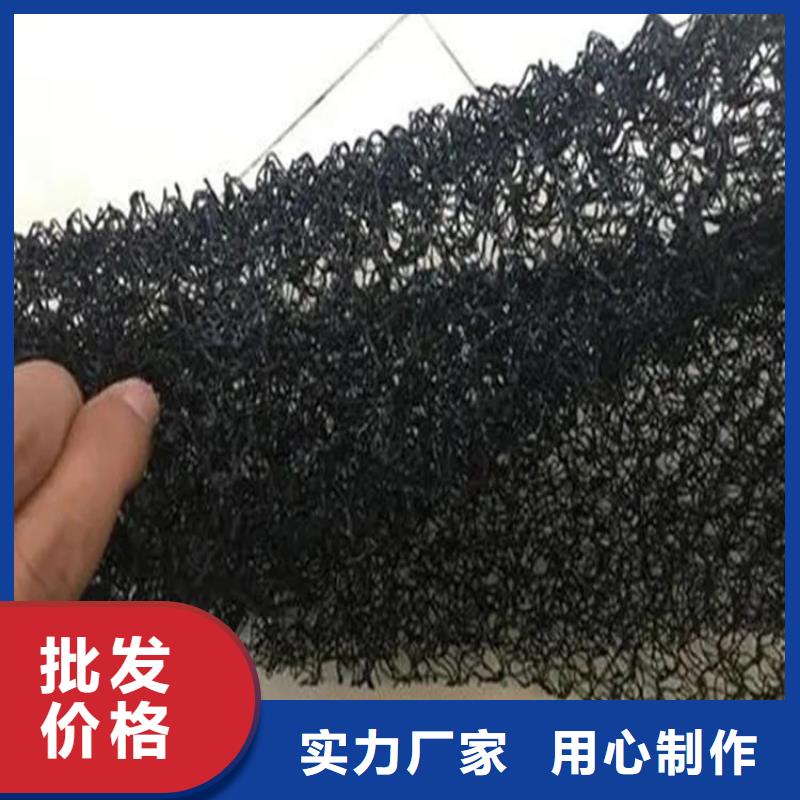 水土保护毯_聚酯玻纤布实力商家当地品牌