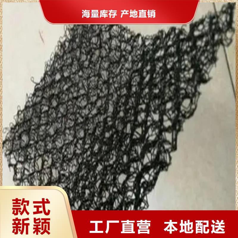水土保护毯双向土工格栅根据要求定制源头直供