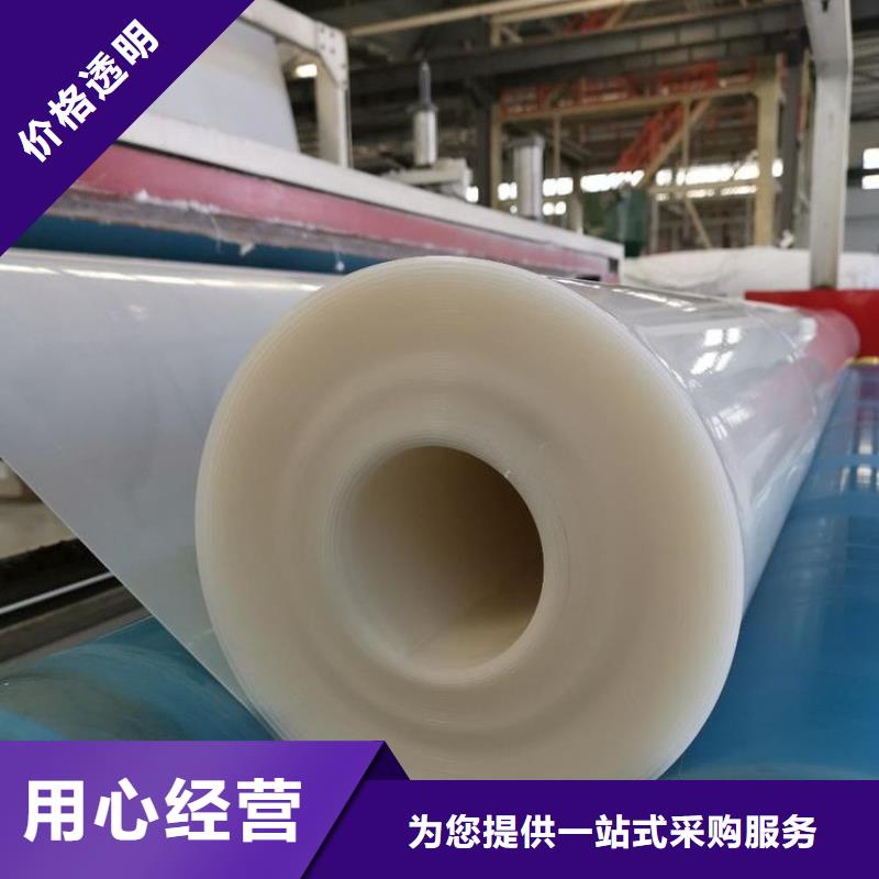 【防水板土工膜专业信赖厂家】品质商家