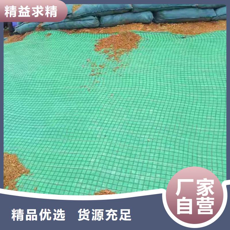 【椰丝毯双向塑料土工格栅多年行业经验】质量优选