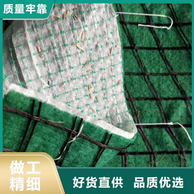 椰丝毯土工膜现货充足真实拍摄品质可靠