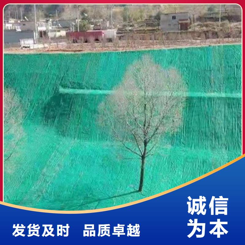 椰丝毯,土工膜规格型号全支持大小批量采购
