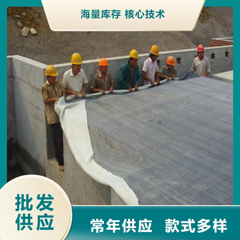 膨润土防水毯土工膜详细参数当地经销商