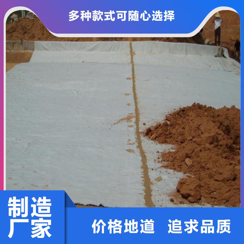 膨润土防水毯土工膜生产安装本地厂家