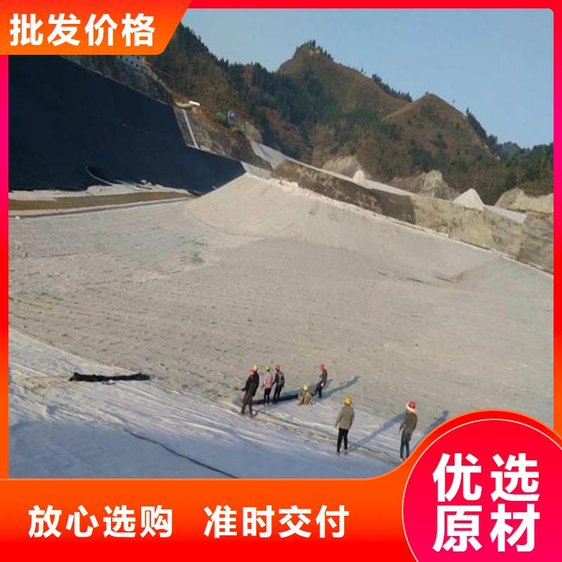 膨润土防水毯【单向塑料土工格栅】厂家规格全现货批发