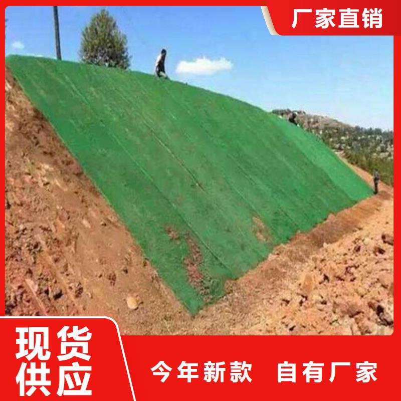 三维植被网,防水毯一站式厂家本地经销商